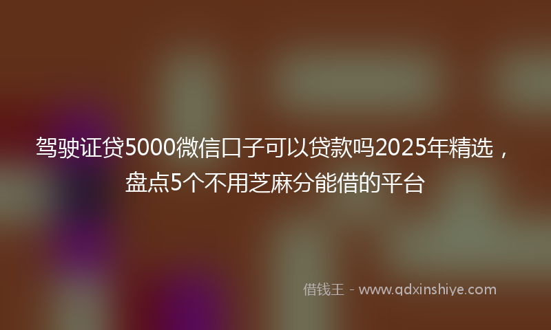 驾驶证贷5000微信口子可以贷款吗2025年精选，盘点5个不用芝麻分能借的平台