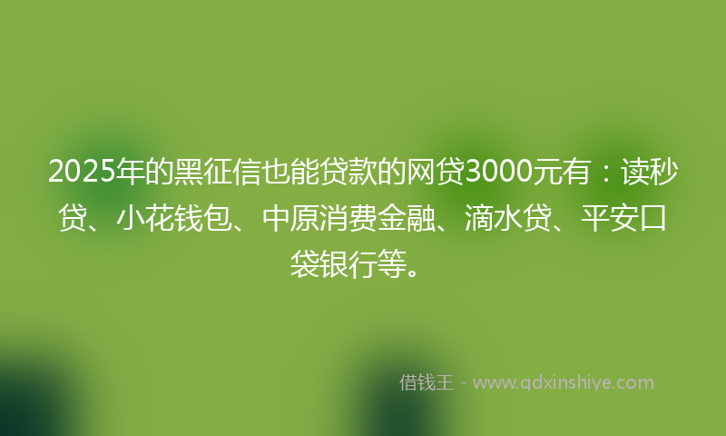 2025年的黑征信也能贷款的网贷3000元有：读秒贷、小花钱包、中原消费金融、滴水贷、平安口袋银行等。