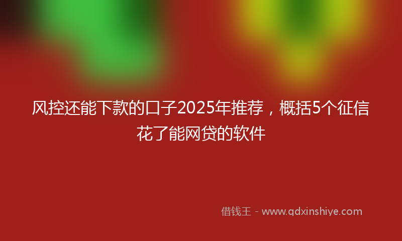 风控还能下款的口子2025年推荐，概括5个征信花了能网贷的软件