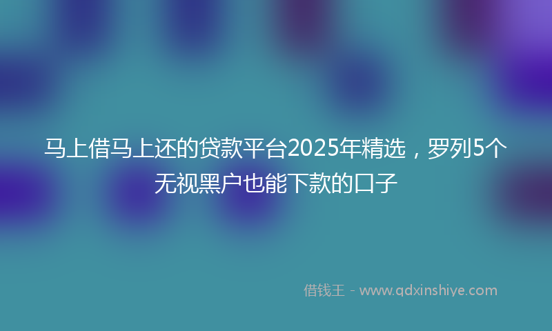 马上借马上还的贷款平台2025年精选，罗列5个无视黑户也能下款的口子