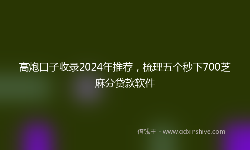 高炮口子收录2024年推荐，梳理五个秒下700芝麻分贷款软件