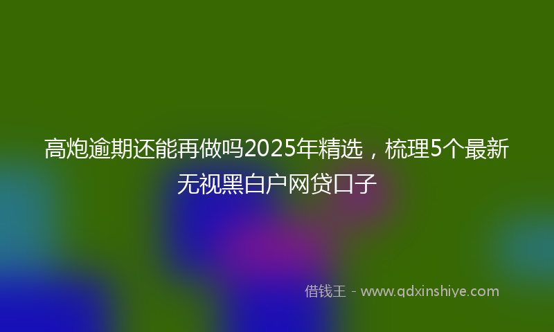 高炮逾期还能再做吗2025年精选，梳理5个最新无视黑白户网贷口子