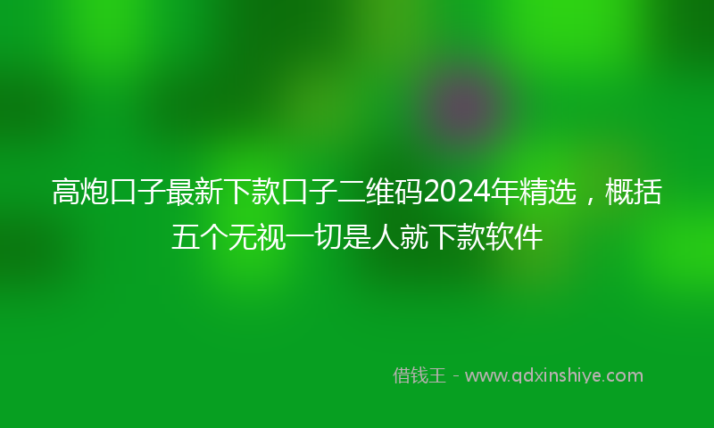 高炮口子最新下款口子二维码2024年精选，概括五个无视一切是人就下款软件