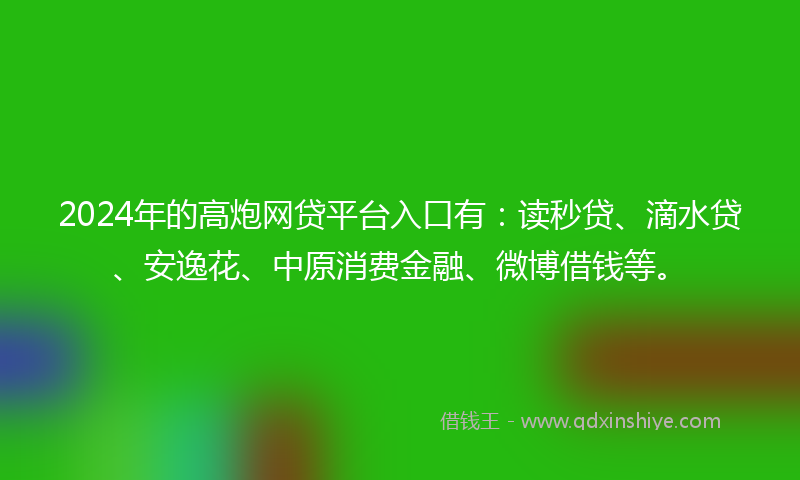 2024年的高炮网贷平台入口有：读秒贷、滴水贷、安逸花、中原消费金融、微博借钱等。