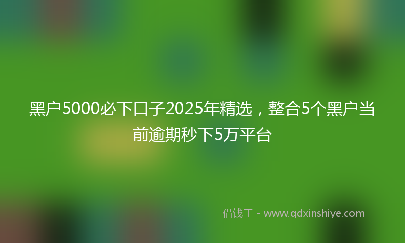 黑户5000必下口子2025年精选，整合5个黑户当前逾期秒下5万平台