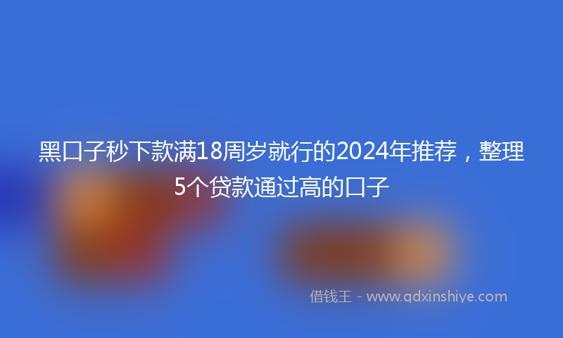 黑口子秒下款满18周岁就行的2024年推荐，整理5个贷款通过高的口子