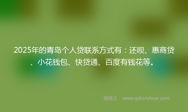 2025年的青岛个人贷联系方式有：还呗、惠商贷、小花钱包、快贷通、百度有钱花等。