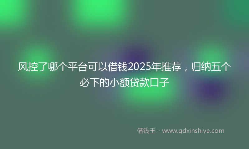 风控了哪个平台可以借钱2025年推荐，归纳五个必下的小额贷款口子