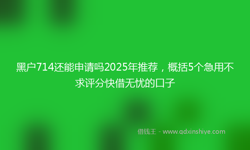 黑户714还能申请吗2025年推荐，概括5个急用不求评分快借无忧的口子