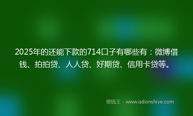 2025年的还能下款的714口子有哪些有：微博借钱、拍拍贷、人人贷、好期贷、信用卡贷等。
