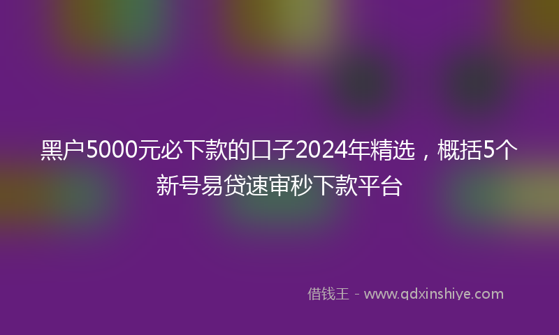 黑户5000元必下款的口子2024年精选，概括5个新号易贷速审秒下款平台