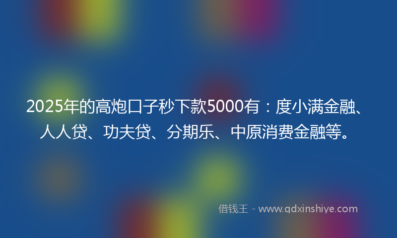 2025年的高炮口子秒下款5000有：度小满金融、人人贷、功夫贷、分期乐、中原消费金融等。