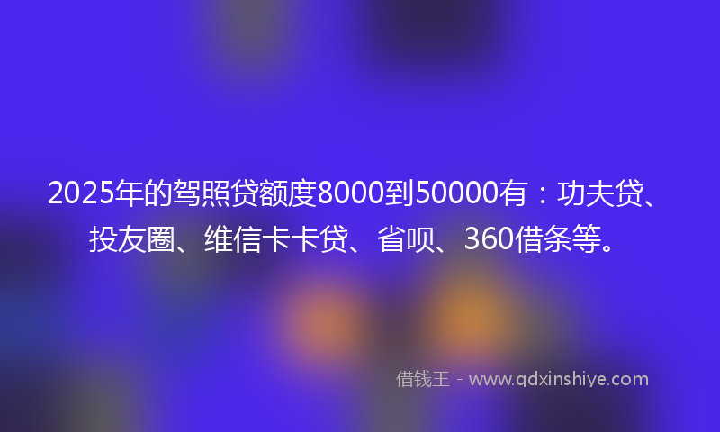 2025年的驾照贷额度8000到50000有：功夫贷、投友圈、维信卡卡贷、省呗、360借条等。