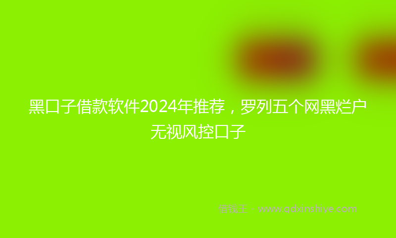 黑口子借款软件2024年推荐，罗列五个网黑烂户无视风控口子