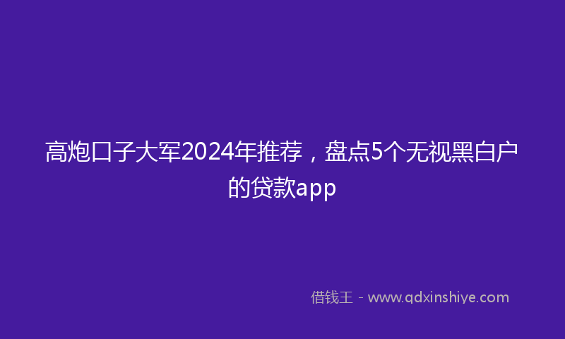 高炮口子大军2024年推荐，盘点5个无视黑白户的贷款app