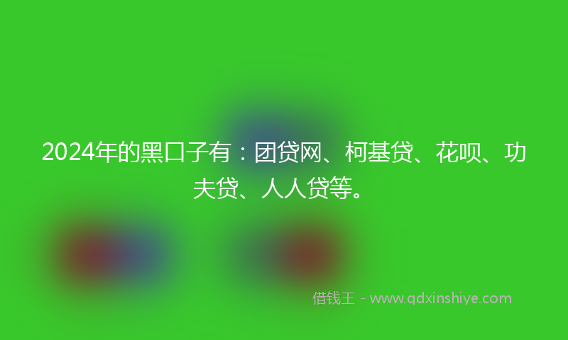 2024年的黑口子有：团贷网、柯基贷、花呗、功夫贷、人人贷等。