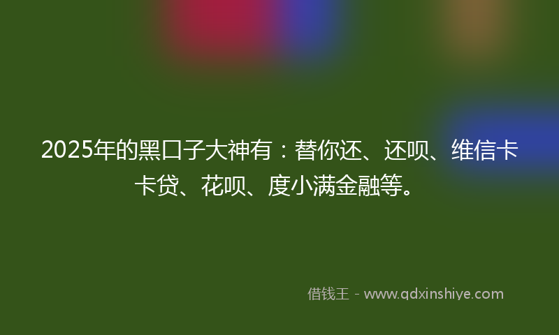 2025年的黑口子大神有：替你还、还呗、维信卡卡贷、花呗、度小满金融等。