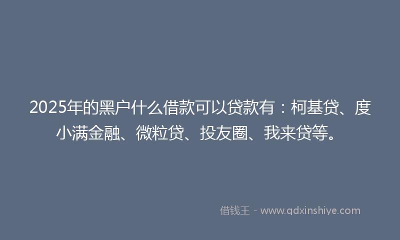 2025年的黑户什么借款可以贷款有：柯基贷、度小满金融、微粒贷、投友圈、我来贷等。