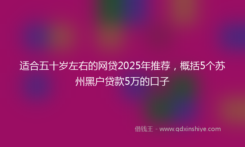 适合五十岁左右的网贷2025年推荐，概括5个苏州黑户贷款5万的口子