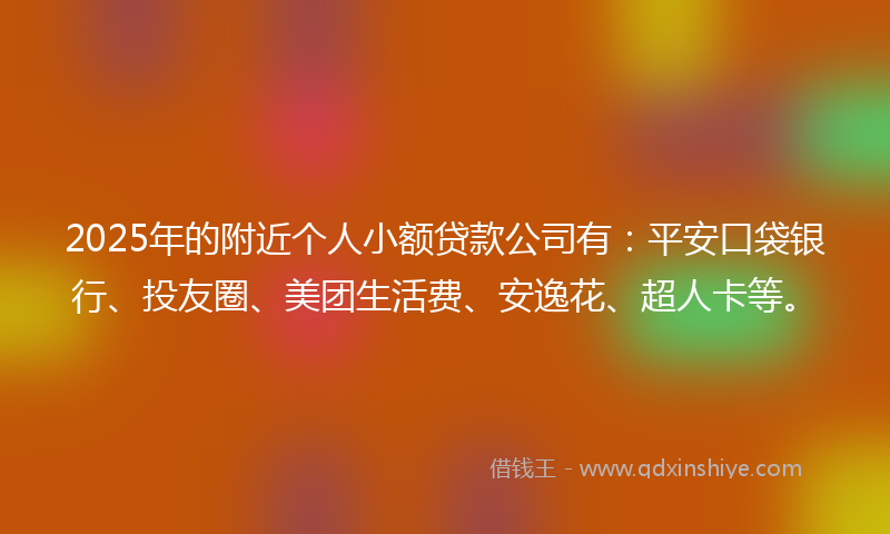 2025年的附近个人小额贷款公司有：平安口袋银行、投友圈、美团生活费、安逸花、超人卡等。