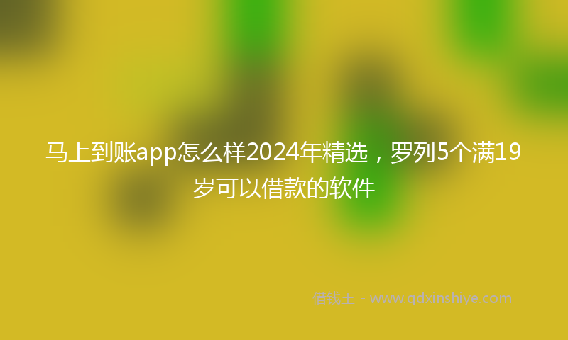 马上到账app怎么样2024年精选，罗列5个满19岁可以借款的软件