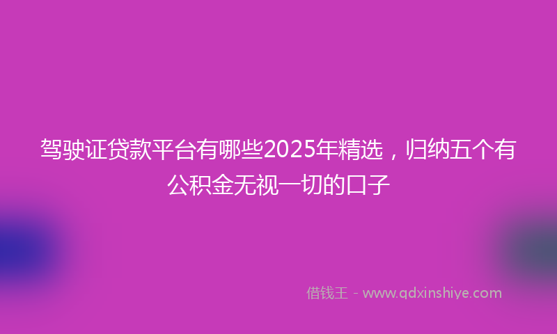 驾驶证贷款平台有哪些2025年精选，归纳五个有公积金无视一切的口子