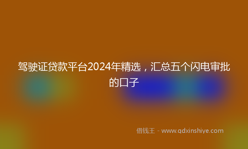 驾驶证贷款平台2024年精选，汇总五个闪电审批的口子