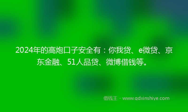 2024年的高炮口子安全有：你我贷、e微贷、京东金融、51人品贷、微博借钱等。