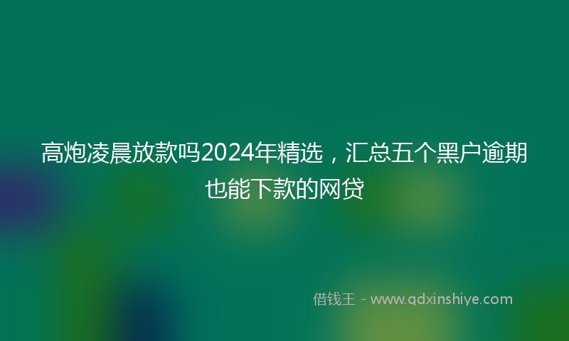 高炮凌晨放款吗2024年精选，汇总五个黑户逾期也能下款的网贷