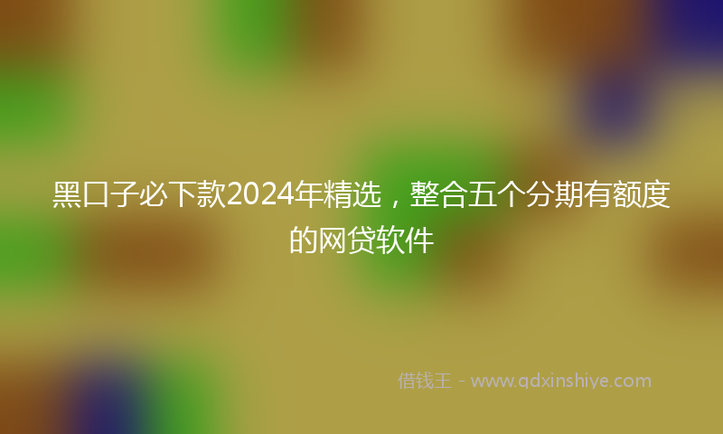 黑口子必下款2024年精选，整合五个分期有额度的网贷软件