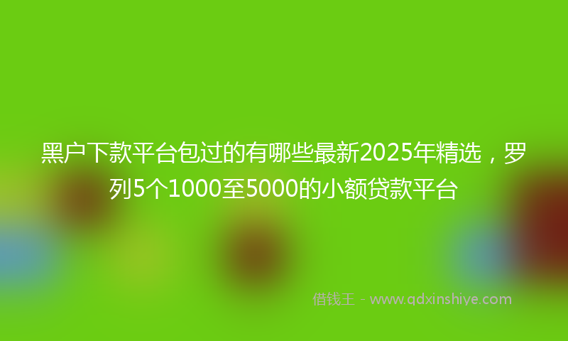 黑户下款平台包过的有哪些最新2025年精选，罗列5个1000至5000的小额贷款平台