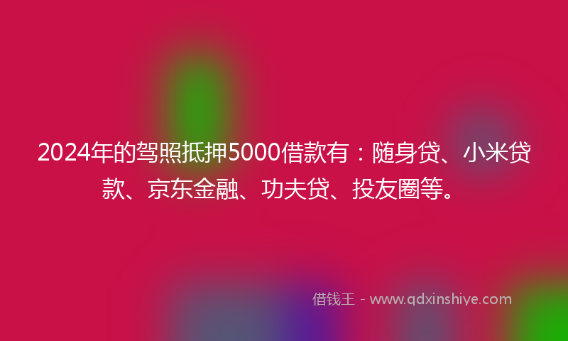 2024年的驾照抵押5000借款有：随身贷、小米贷款、京东金融、功夫贷、投友圈等。