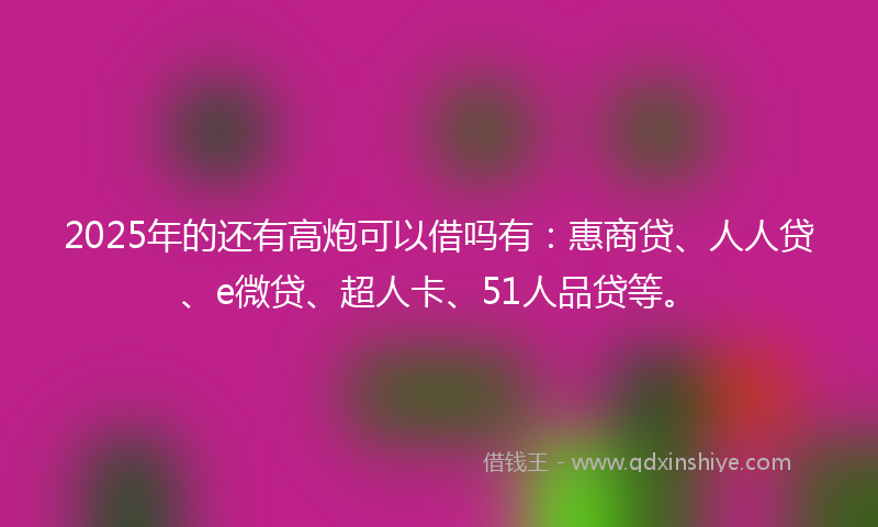 2025年的还有高炮可以借吗有：惠商贷、人人贷、e微贷、超人卡、51人品贷等。
