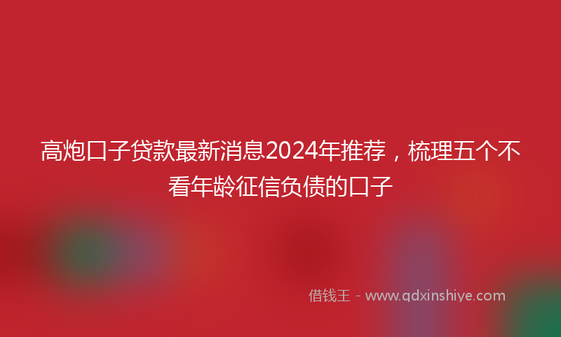 高炮口子贷款最新消息2024年推荐，梳理五个不看年龄征信负债的口子