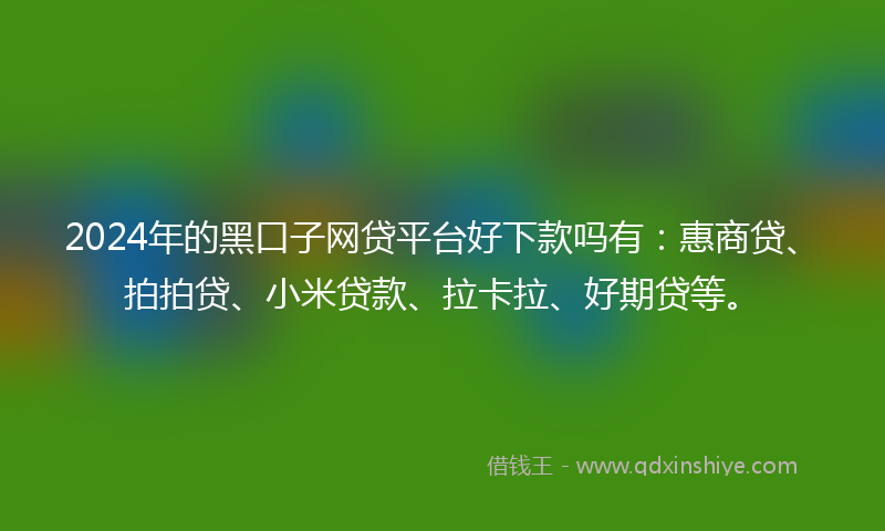 2024年的黑口子网贷平台好下款吗有：惠商贷、拍拍贷、小米贷款、拉卡拉、好期贷等。