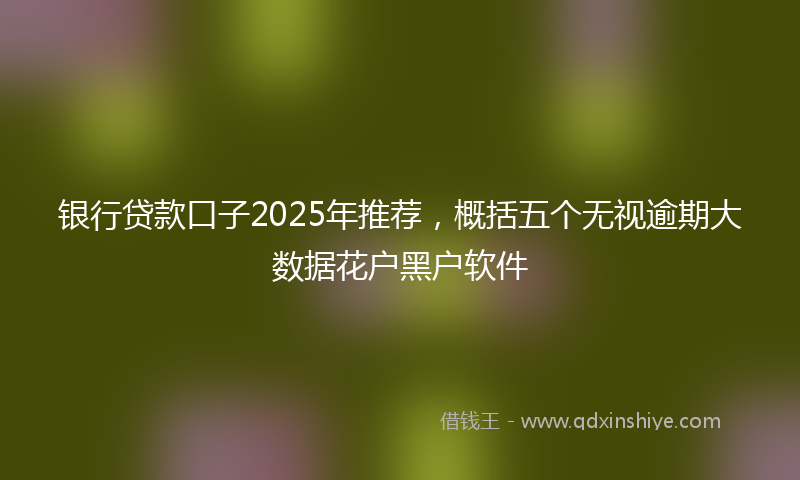 银行贷款口子2025年推荐，概括五个无视逾期大数据花户黑户软件