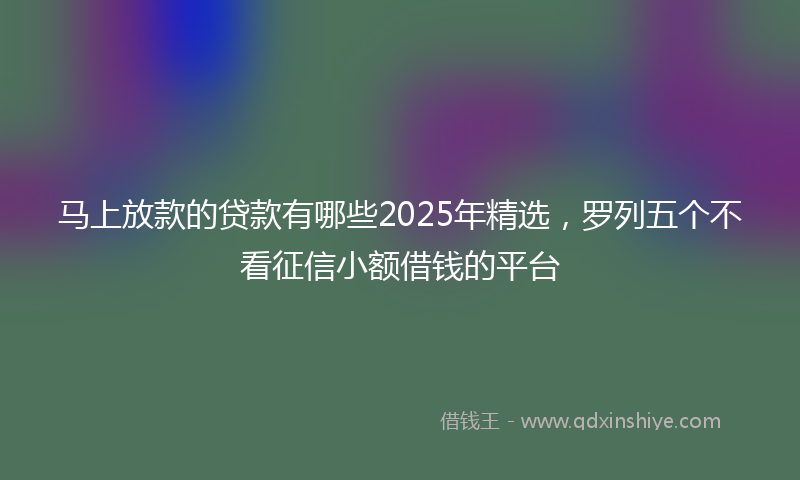 马上放款的贷款有哪些2025年精选，罗列五个不看征信小额借钱的平台