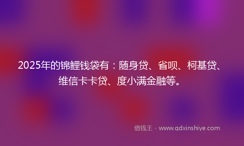 2025年的锦鲤钱袋有：随身贷、省呗、柯基贷、维信卡卡贷、度小满金融等。