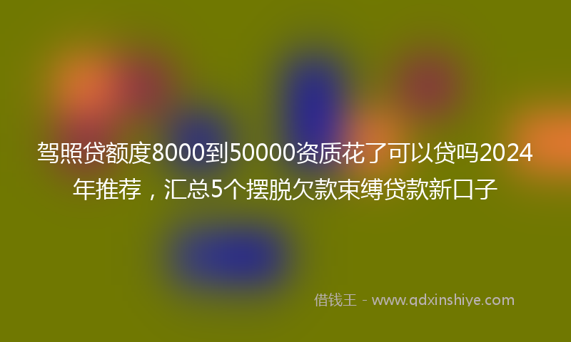 驾照贷额度8000到50000资质花了可以贷吗2024年推荐，汇总5个摆脱欠款束缚贷款新口子