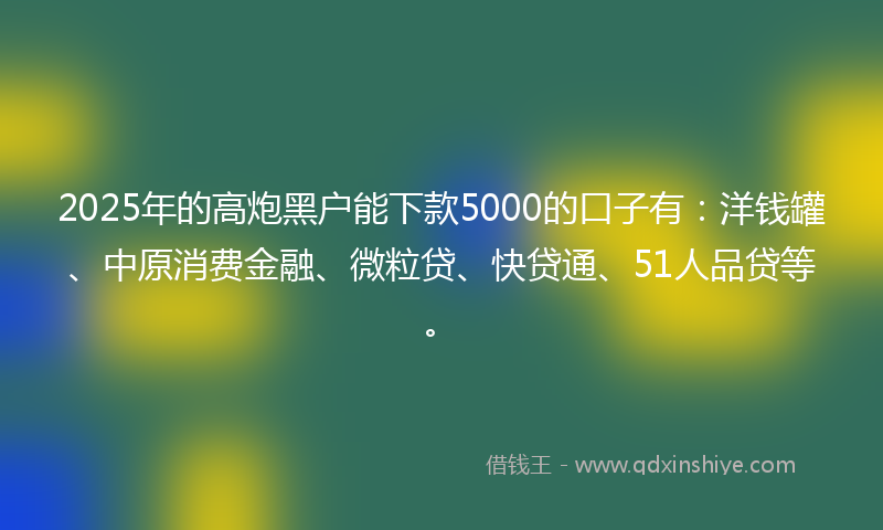 2025年的高炮黑户能下款5000的口子有：洋钱罐、中原消费金融、微粒贷、快贷通、51人品贷等。