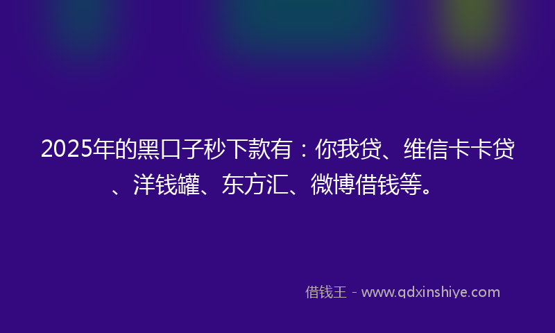 2025年的黑口子秒下款有：你我贷、维信卡卡贷、洋钱罐、东方汇、微博借钱等。