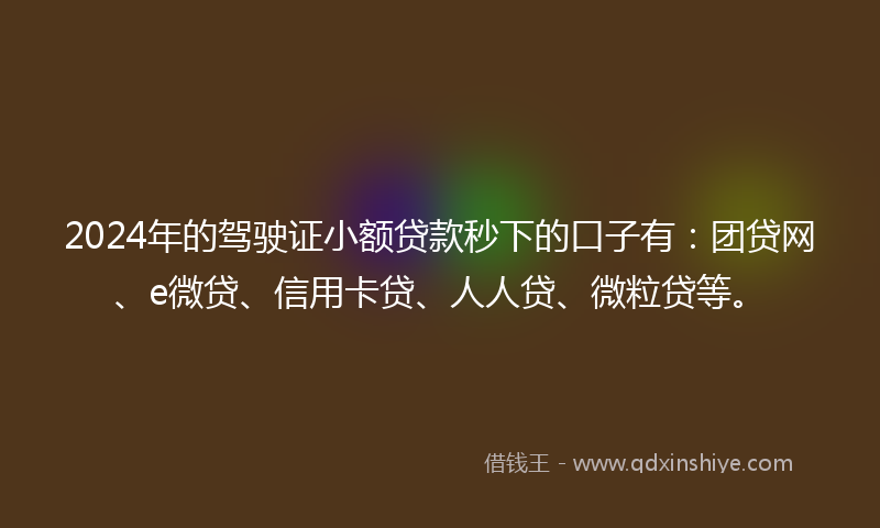2024年的驾驶证小额贷款秒下的口子有：团贷网、e微贷、信用卡贷、人人贷、微粒贷等。