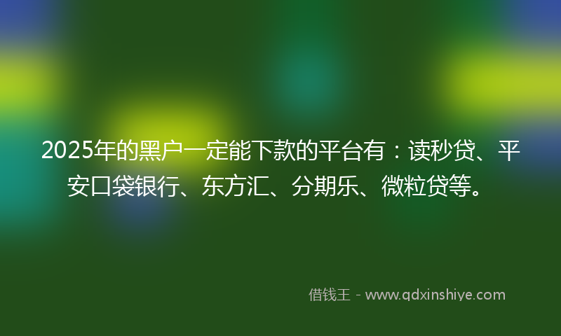 2025年的黑户一定能下款的平台有：读秒贷、平安口袋银行、东方汇、分期乐、微粒贷等。