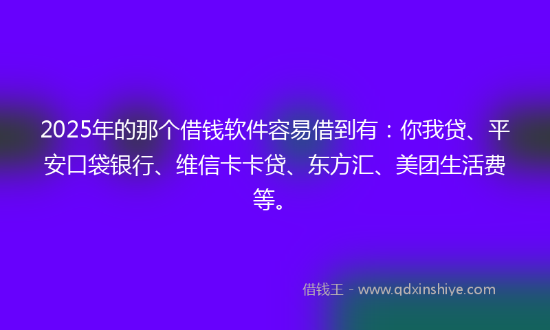 2025年的那个借钱软件容易借到有：你我贷、平安口袋银行、维信卡卡贷、东方汇、美团生活费等。