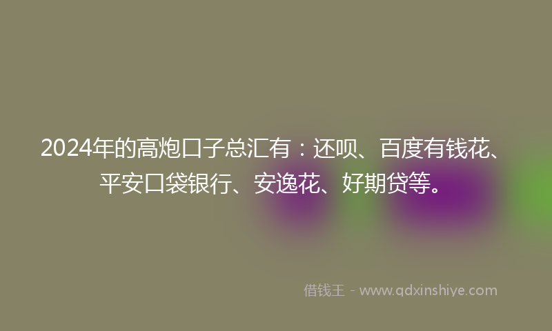 2024年的高炮口子总汇有：还呗、百度有钱花、平安口袋银行、安逸花、好期贷等。