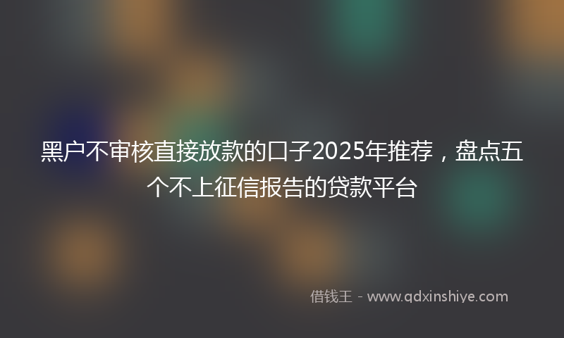 黑户不审核直接放款的口子2025年推荐，盘点五个不上征信报告的贷款平台