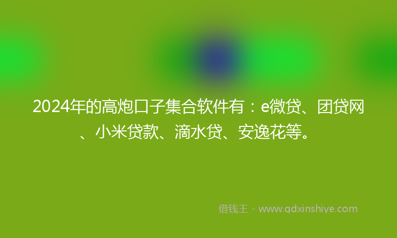 2024年的高炮口子集合软件有：e微贷、团贷网、小米贷款、滴水贷、安逸花等。