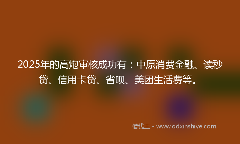 2025年的高炮审核成功有：中原消费金融、读秒贷、信用卡贷、省呗、美团生活费等。