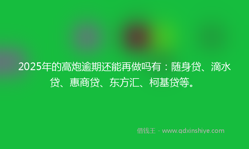 2025年的高炮逾期还能再做吗有：随身贷、滴水贷、惠商贷、东方汇、柯基贷等。