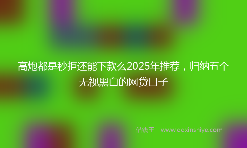 高炮都是秒拒还能下款么2025年推荐，归纳五个无视黑白的网贷口子